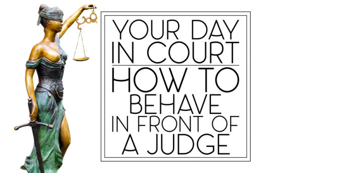 Your Day in Court: How to Behave in Front of a Judge This Ugly Beauty